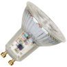 Bailey | LED lamp | GU10 Fitting | Spot | 50mm | 5,5W
