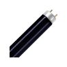MASTER T8 Actinic BL 18W - Blacklight | 60cm